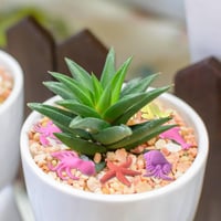 مجسمات تكبر بالماء