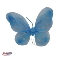 طقم أجنحة فيري