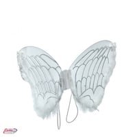 جناح الفراشة