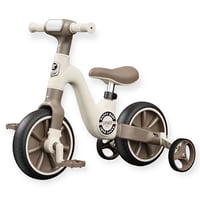 دراجة متعددة الاستخدام