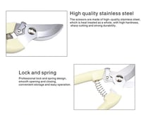 مقص تقليم مستقيم