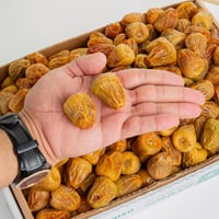 سكري فلة رقم 1