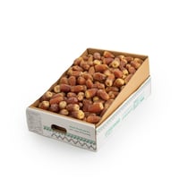 صقعي فلة ملكي