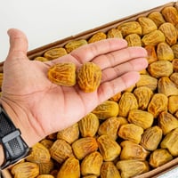 سكري فلة رقم3