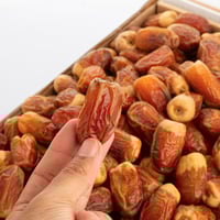 صقعي فلة ملكي كرتون