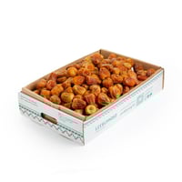 سكري جالكسي