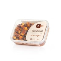 صقعي علبة كبير