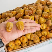 سكري فلة ملكي