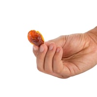 خلاص القصيم آلي رقم 2