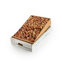 صقعي فلة ملكي