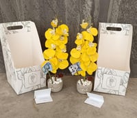 فازة الاسمنت مع ورد الاوركيد