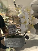 فازة الاسمنت مع ورد الاوركيد غير شامل اكريلك الفلو...