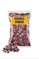 البرسيم الاحمر