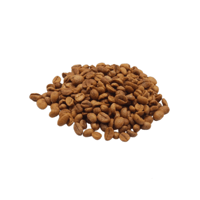 بن خولاني فاتح