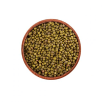 بذور الماش الاخضر