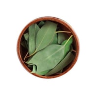 ورق الكافور