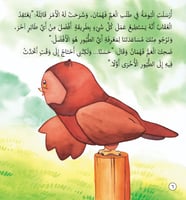 عالم الطيور - قصص المكتشف فهمان