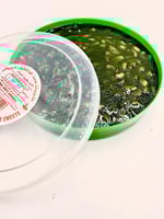 حلوى البحرين الخضراء