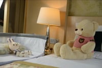 سرير اطفال نكست تو مي بلس بيبي دريم