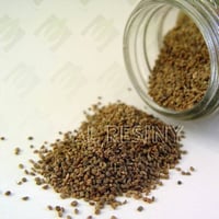 بذور الكرفس