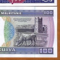 موريتانيا فئة 100 أوقية أنسر (إصدار قديم)