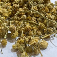 اذريون الحدائق . زهرة الاقحوان 100جرام