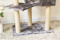 خداشة عملاقة