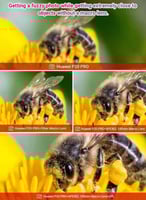 عدسة ماكرو للجوالات