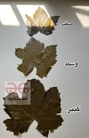 دورة مشروع ورق العنب من الصفر