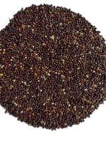 بذور الدخن الاسود (( تعبئة بالوزن ))