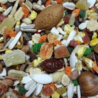 فواكه ومكسرات للببغاوات من مانيتوبا MANITOBA