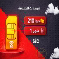 شريحة نت الكترونية 210 جيجا - شهر