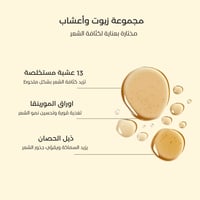 زيت الإنبات