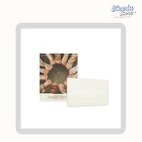 SEVENTEEN WORLD TOUR [RIGHT HERE] DC + PROGRAM BOO...