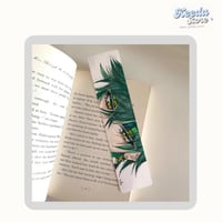 فاصل كتب كينيتش