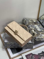 Dior bag