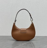 Celine Medium Ava Triomphe Bag