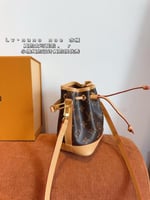 Louis Vuitton Pre-Owned Nano Noé two-way bag in br...