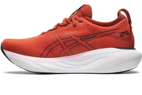 ASICS GEL-NIMBUS 25