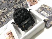 Dior Backpack 21.5x31.5x13cm