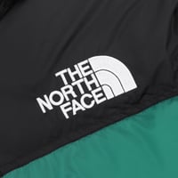 TheNorthFace/1996 down jacket
