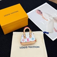 LV bag