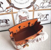 Hermès Birkin Togo bag