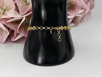 اسواره فان كليف عيار 21