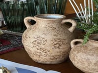 فازة العلا كبير