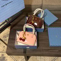 شنط توري بوزش