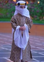 دقلة العرضه النجديه