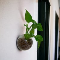 بوتس جدارية كبير