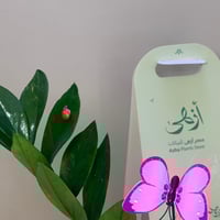 نبتة زاميا وسط