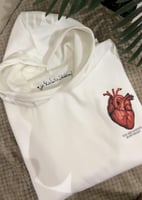 هودي ليحتضنك دائمًا - ألوان متعددة